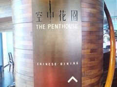 -广州富力君悦大酒店空中花园