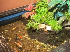 -隐炉和牛烧肉店(群力店)