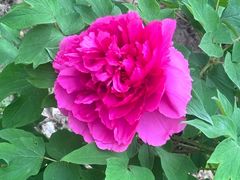 -江南大学(蠡湖校区)