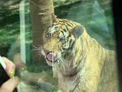 -北京野生动物园