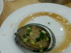 鲍鱼-海岛渔村大酒店(云霄路店)