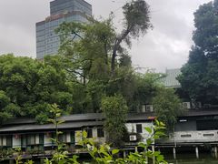 -荔湾湖公园