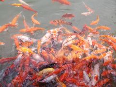 -兰溪地下长河