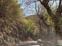 -莫干山风景区