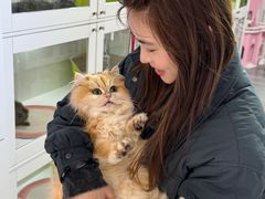 -青奢宠物·青奢猫舍