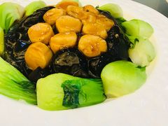 -国惠大酒楼(宝龙店)