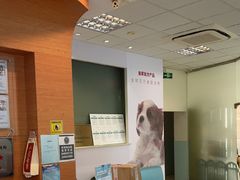 -瑞派申生动物医院·24H夜诊·国际动物医疗中心·骨外科(吴中路店)