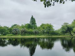 -上海共青森林公园