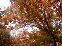 android_upload_pic-八大关景区