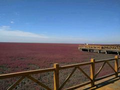 -红海滩国家风景廊道
