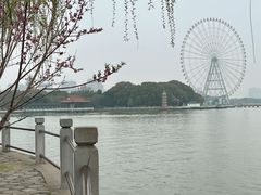 -无锡蠡湖国家湿地公园-蠡园