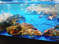 -盒马鲜生(馥邦国际店)