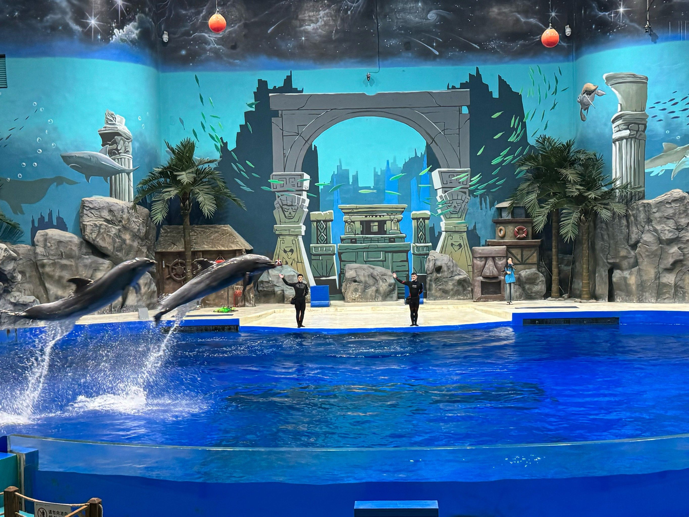 天天领红包荆州小梅沙海洋馆
在荆州小梅沙海洋馆度过了超棒的姨祆