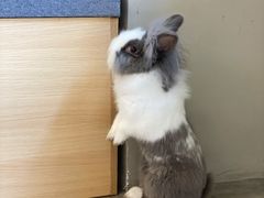 -小意思咖啡店(草桥店)