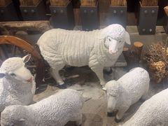 -快乐小羊·内蒙牛羊肉火锅(流花中心店)