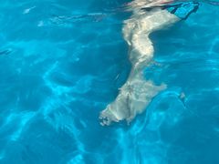 -杭州浪浪浪水公园