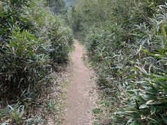 -东钱湖旅游度假区