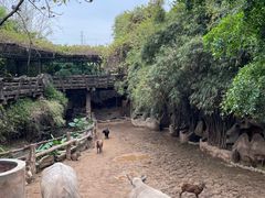 -长鹿旅游休博园