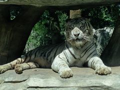 -北京野生动物园