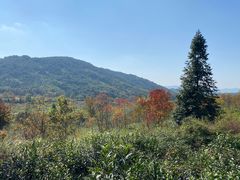 -塔川景区