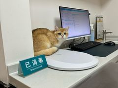 -派联宠物医院·24h·CT·异宠