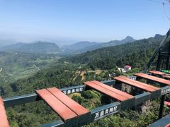 -梦幻奥陶纪景区