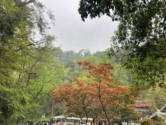 -岳麓山风景名胜区