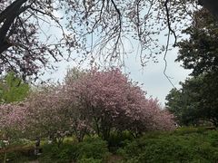 -洛阳市隋唐城遗址植物园