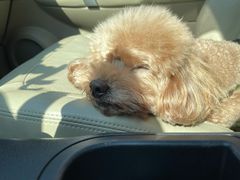 -元鼎宝驴香·全驴宴(江宁店)