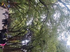 -共青国家森林公园-售票处