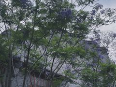 -龙潭水乡