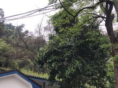 -白公馆