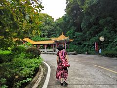 -广州市帽峰山景区