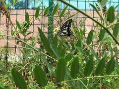 -沈阳辉山风景区