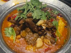 -凯鸽酒楼(操场城店)