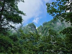 -秦岭天竺山生态文化旅游景区