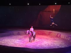 -cavalia·舞马