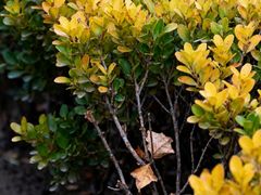 -西安市长乐公园