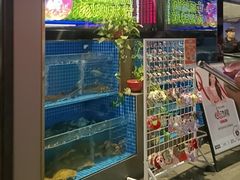 -涿派·炝锅鱼(涿州店)