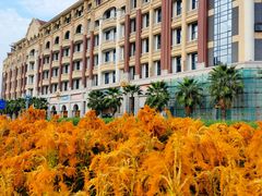 -诚毅广场(地铁站)