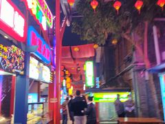 -鸿恩陶然大观园