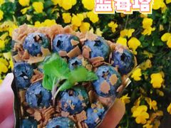 -KOMUGI 小麦家(新地假日广场店)