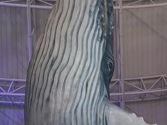 -烟台海昌鲸鲨海洋公园
