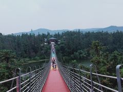 -南京银杏湖乐园