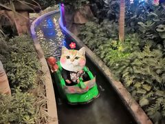 -南宫五洲植物乐园