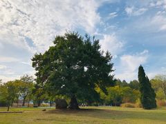 -东湖落雁景区