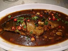黄河口大鲤鱼-鲁城往事(游客中心店)