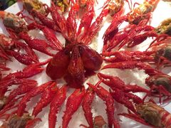 -红盔甲·小龙虾(车公庙店)