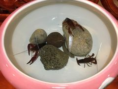 -随善园餐厅(大理店)