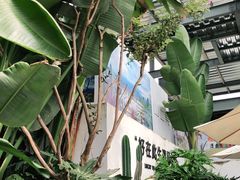 -云里小坐·小院里·团建·宴请·下午茶(三圣乡店)